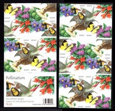 bee s pollination for sale bee s pollination for sale Temecula