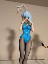 Infinite stratos sarashiki for sale  Vancouver
