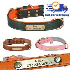 Dog collar personalised for sale  PAISLEY