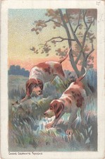 Illustrated french running d'occasion  Expédié en Belgium