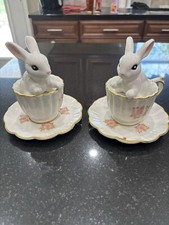 Easter bunnies rabbits for sale  Hamilton