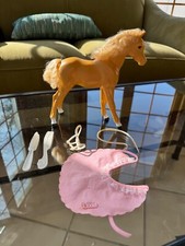 dream horse for sale dream horse for sale Neenah