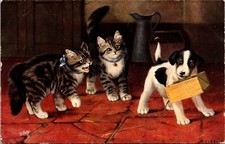 Vintage postcard cobbe for sale  La Mesa