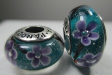 Teal purple daisy for sale  Henderson