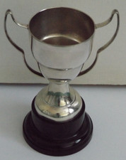 Trophy cup epns for sale  SOUTHAMPTON