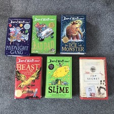 David walliams hardback for sale  CHICHESTER
