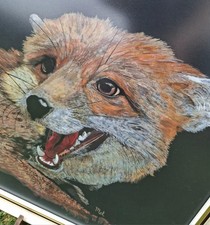 Framed watercolour snarling for sale  MARKET DRAYTON