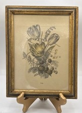 Antique botanical lithograph for sale  Duvall