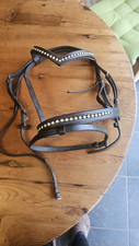 Diamond bridle pony for sale  BRECON