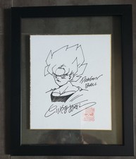 Shikishi akira toriyama usato  Fauglia