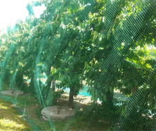 Candyhome 13ft 33ft for sale  Denver