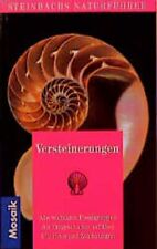 Versteinerungen gebraucht kaufen  Berlin