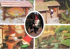 Cartão postal GNOMELAND VILLAGE OF LITTLE PEOPLE bioma vegetal paisagem de madeira AA07248 comprar usado  Enviando para Brazil