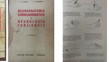 Chusid mcdonald neuroanatomia usato  Treviso