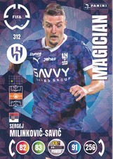 Milinkovic savic panini gebraucht kaufen  Oedheim