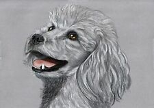 Original colour pencil for sale  SOUTHSEA