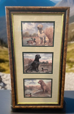 Labrador retrievers ducks for sale  Anderson