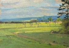 Paisagem com montanhas ao fundo comprar usado  Enviando para Brazil