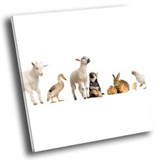Square animal canvas for sale  STRABANE