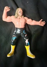 Michael hayes wcw for sale  NORTHAMPTON