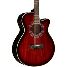 Washburn ea55g festival for sale  Kansas City