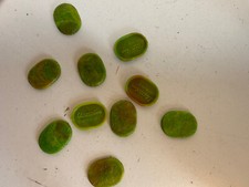 Elastolin bodenplatten 4cm gebraucht kaufen  Waiblingen