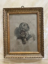 Cagnolino quadro con usato  Fornovo di Taro