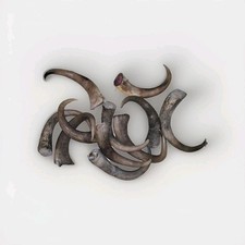 One random musk for sale  Mekoryuk