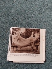 Sk171 ephemera 1959 for sale  LEICESTER