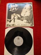 White lion fight d'occasion  Folschviller