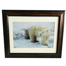 Polar bear nature for sale  Huntington Beach