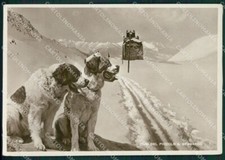 Aosta piccolo san usato Aosta piccolo san usato  Gambolo