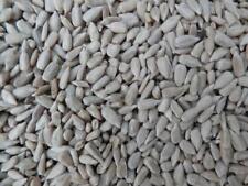 Sunflower hearts 12.55kg for sale  BISHOP AUCKLAND
