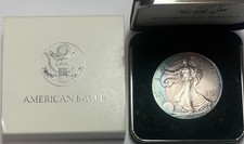 beautiful eagle for sale beautiful eagle for sale Oak Park