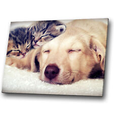 Animal canvas prints for sale  STRABANE