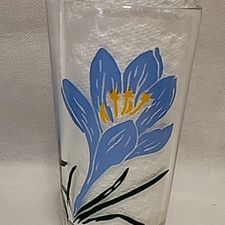 Spring crocus boscul for sale  Frederick