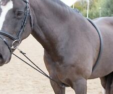 Shires soft horse for sale  CHATTERIS