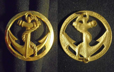 Insigne béret troupes d'occasion  Meung-sur-Loire