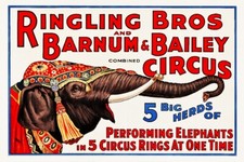 Cirque ringling bros d'occasion Cirque ringling bros d'occasion  Soucieu-en-Jarrest