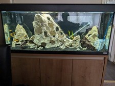 Fluval roma 240l for sale  YARM