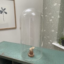 Glass dome display for sale  NORTHAMPTON