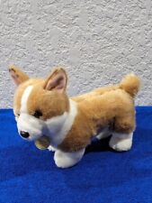 Aurora miyoni corgi for sale  San Antonio