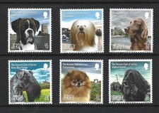 Jersey 2013 kennel for sale  KILMARNOCK