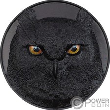 Eagle owl hunters usato  Ciampino