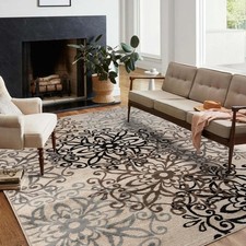 Indoor area rug for sale  Caledonia