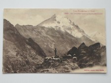 Cpsm pyrénées troupeau d'occasion  Eu