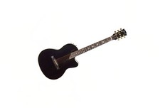 Gibson chet atkins for sale  Brookfield
