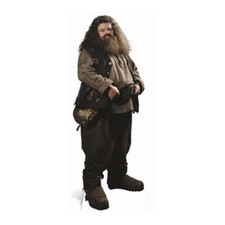 Harry potter pappaufsteller gebraucht kaufen  Saarlouis