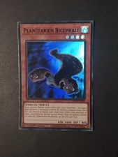 Planétarien bicéphale rota d'occasion  Pontault-Combault