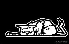 Zombie Pet Kitty Gato Família Car Decal Adesivo "The Walking Dead" comprar usado  Enviando para Brazil